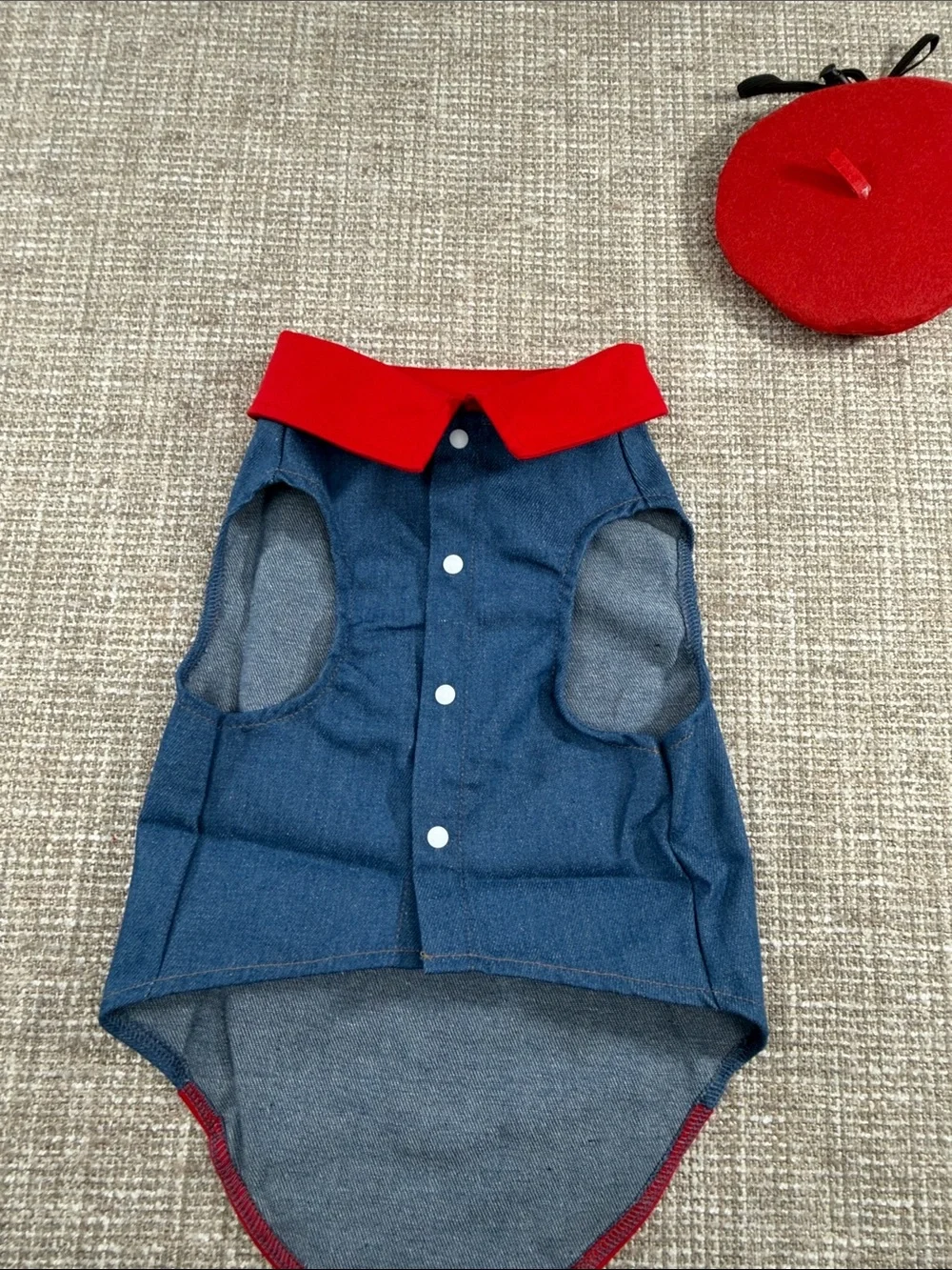 Red and Blue Dog vest with Cap